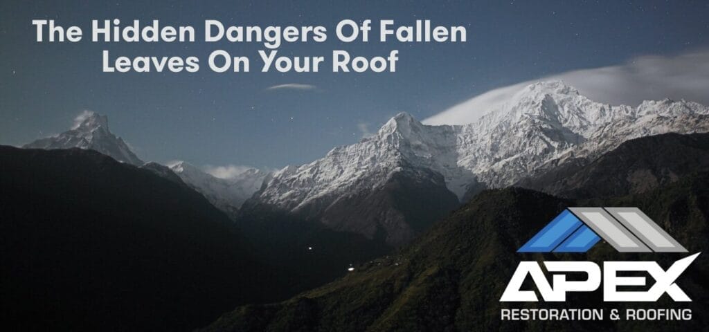 The Hidden Dangers of Fallen Leaves on Your Roof