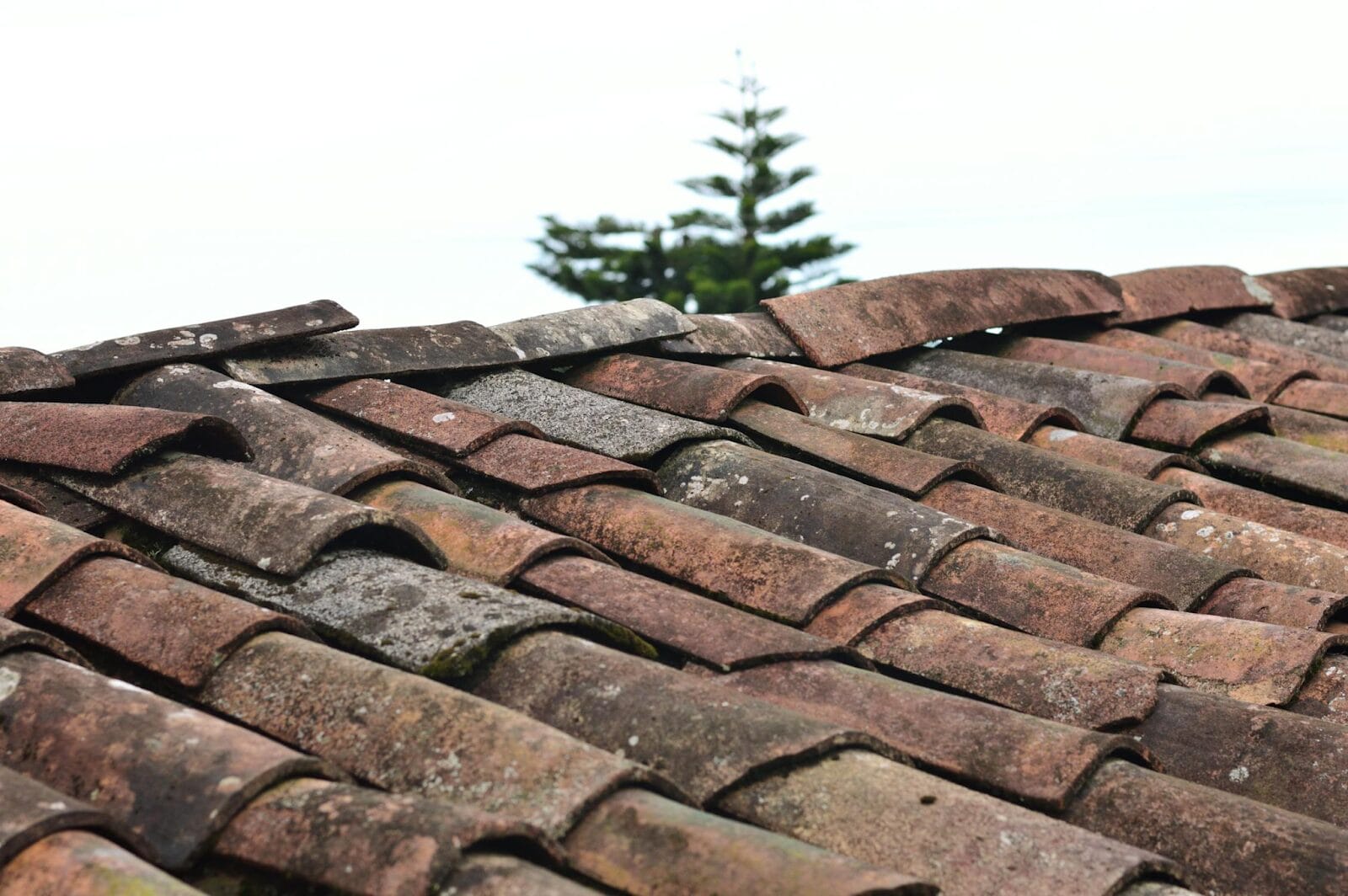 Which Type Of Roof Is The Most Durable Apex Restoration Roofing