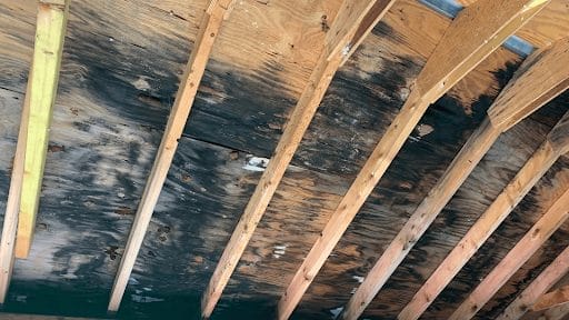 Mold in attic ceiling